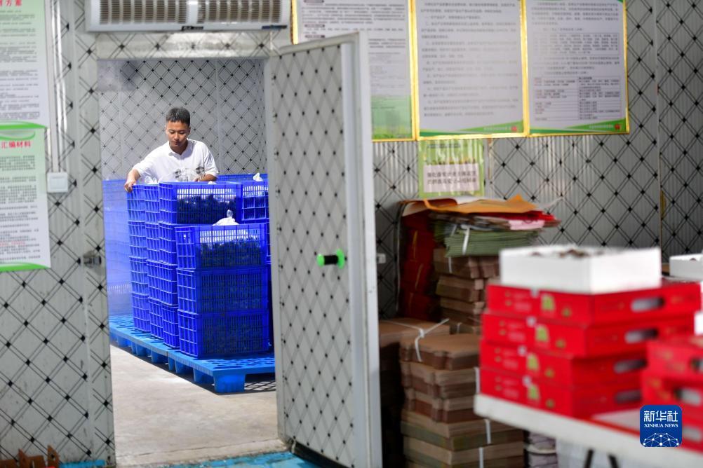 澳门 跳槽彩金